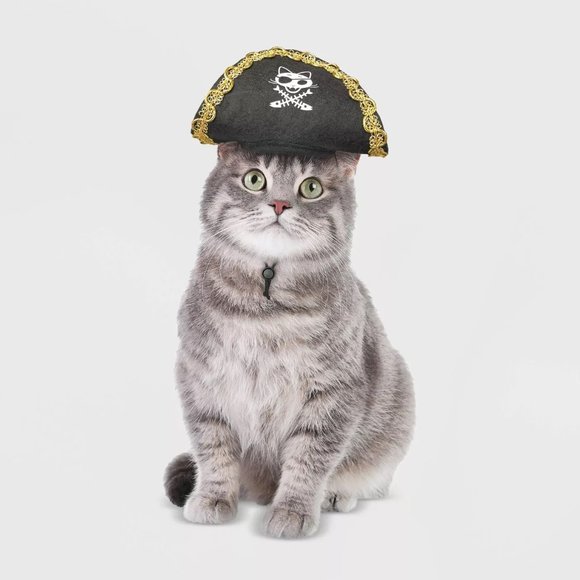 Pet Cat Hyde & Eek PIRATE Buccaneer Hat Halloween Costume One Size Headpiece NWT - Picture 2 of 4